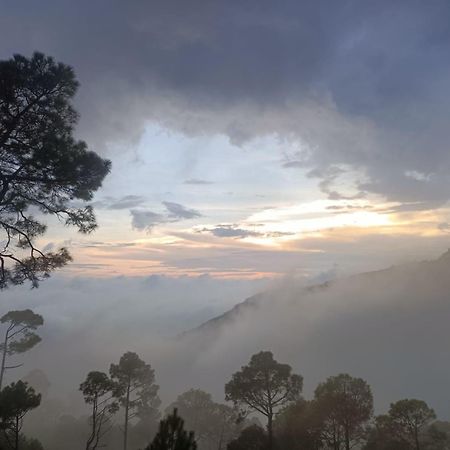 The Western Heights I Serviced Apartments I Pvt Balcony I Lift I Peacefull Area I Family Accomodation I Kasauli I By Exotic Stays מראה חיצוני תמונה