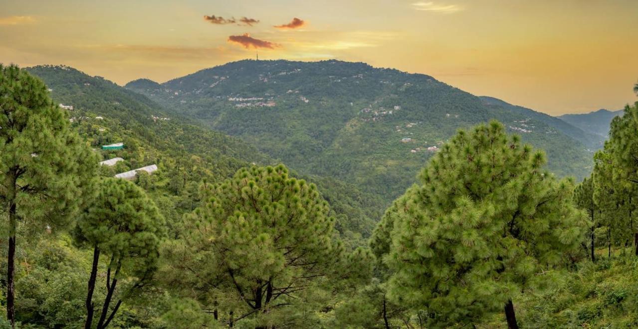 The Western Heights I Serviced Apartments I Pvt Balcony I Lift I Peacefull Area I Family Accomodation I Kasauli I By Exotic Stays מראה חיצוני תמונה