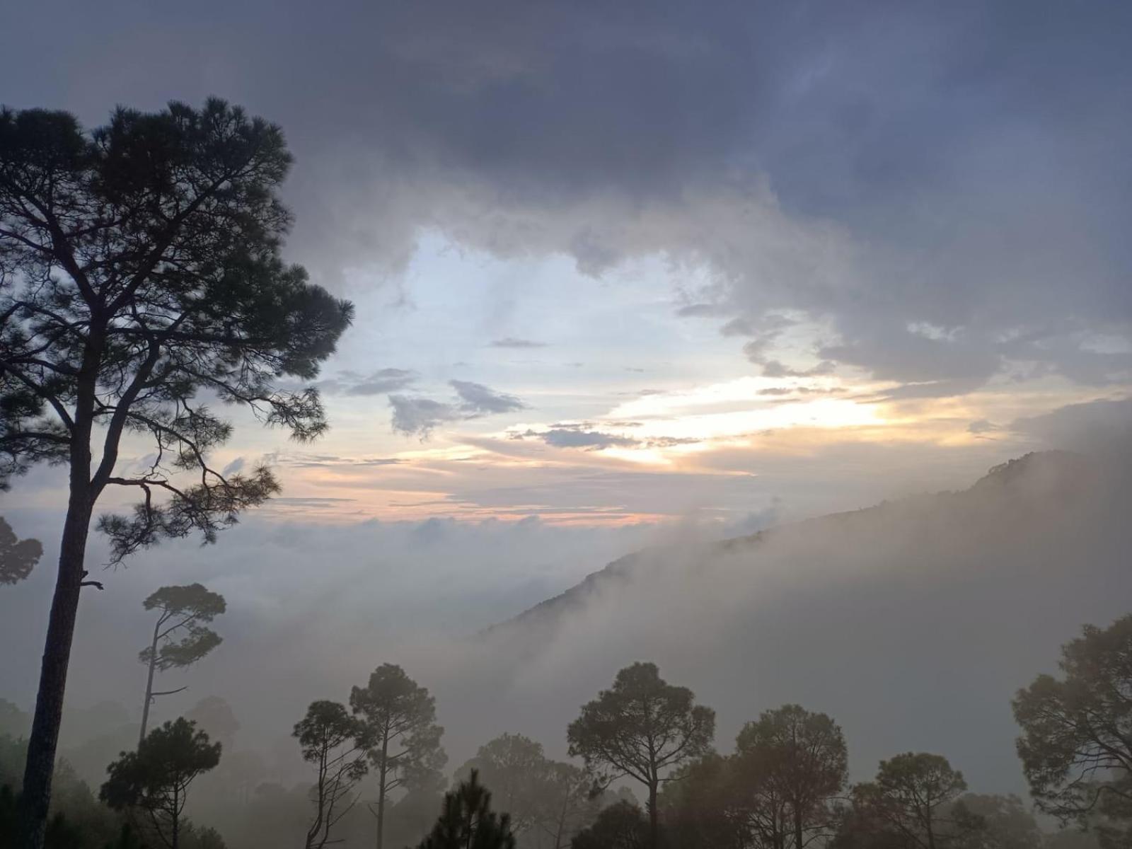 The Western Heights I Serviced Apartments I Pvt Balcony I Lift I Peacefull Area I Family Accomodation I Kasauli I By Exotic Stays מראה חיצוני תמונה